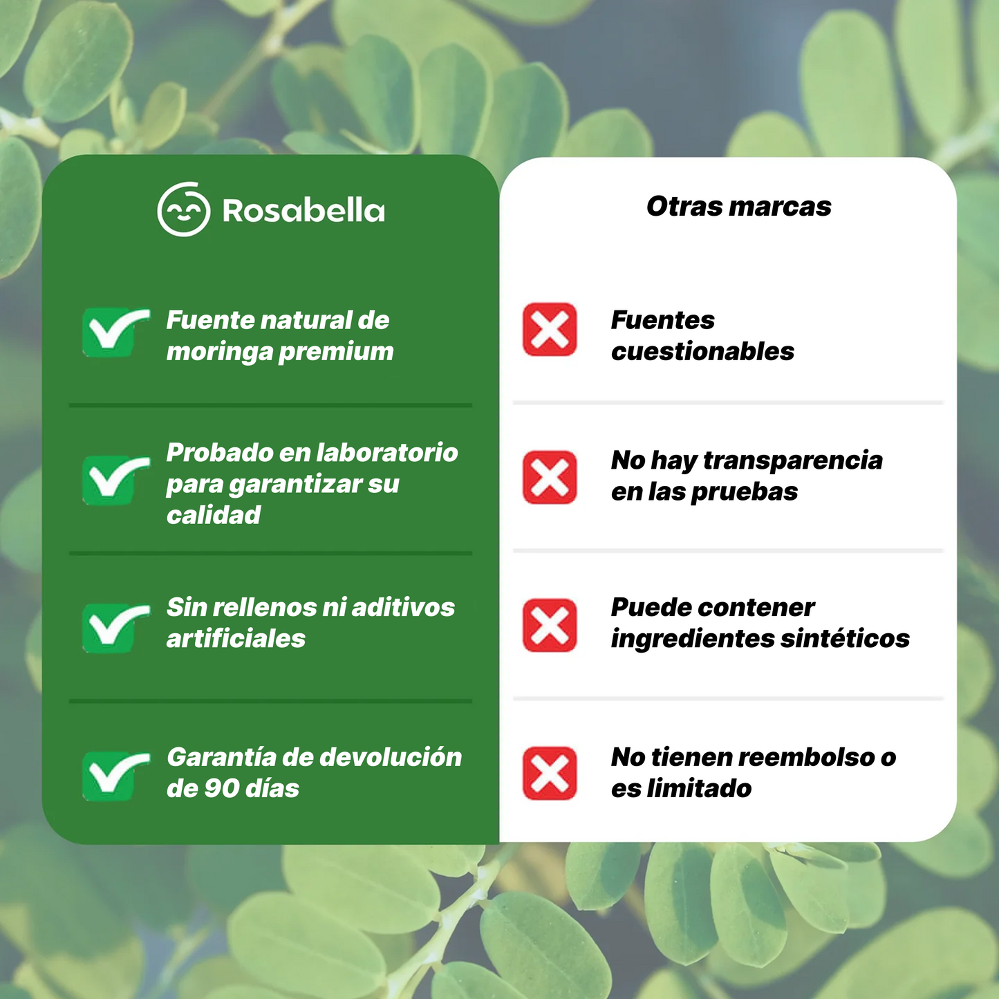Moringa Rosabella – Reduce el cortisol de forma natural para ayudar a restaurar el equilibrio interior y exterior.