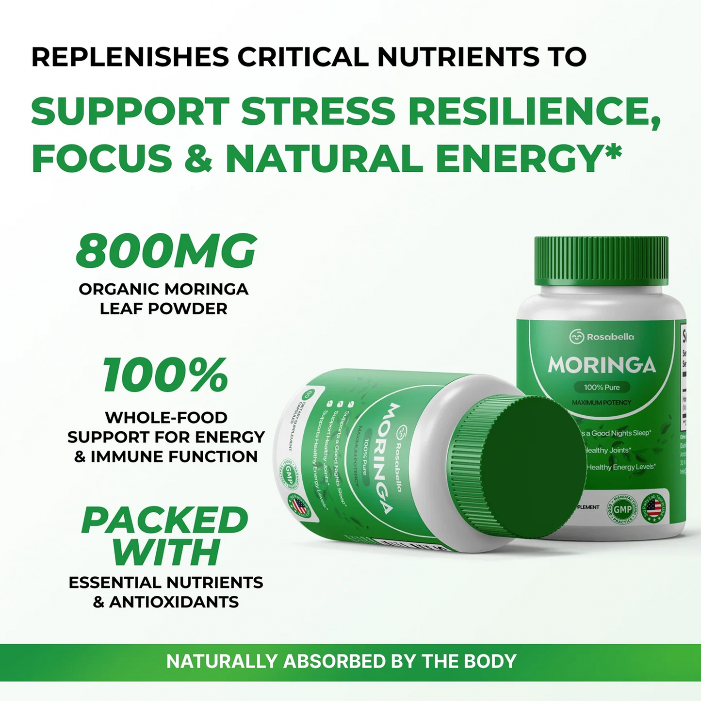 Moringa Rosabella – Reduce el cortisol de forma natural para ayudar a restaurar el equilibrio interior y exterior.